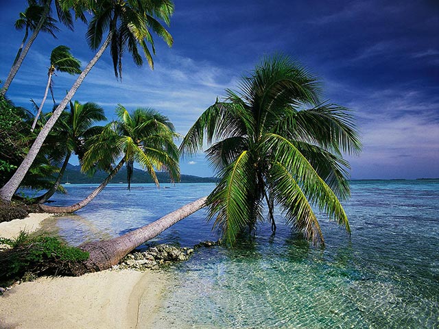 Beautiful Tropical Islands vol.1 screenshot Beautiful Tropical Islands vol.1 screenshot