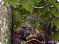 Forest World 3D: View larger screenshot