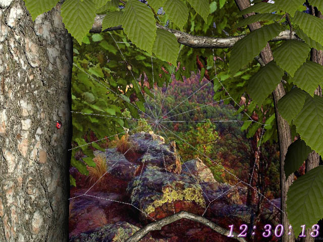 Forest World 3D Screensaver