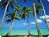 dArt Tropical Islands vol.1