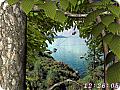 Forest World 3D: View larger screenshot