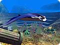Underwater World 3D: View larger screenshot